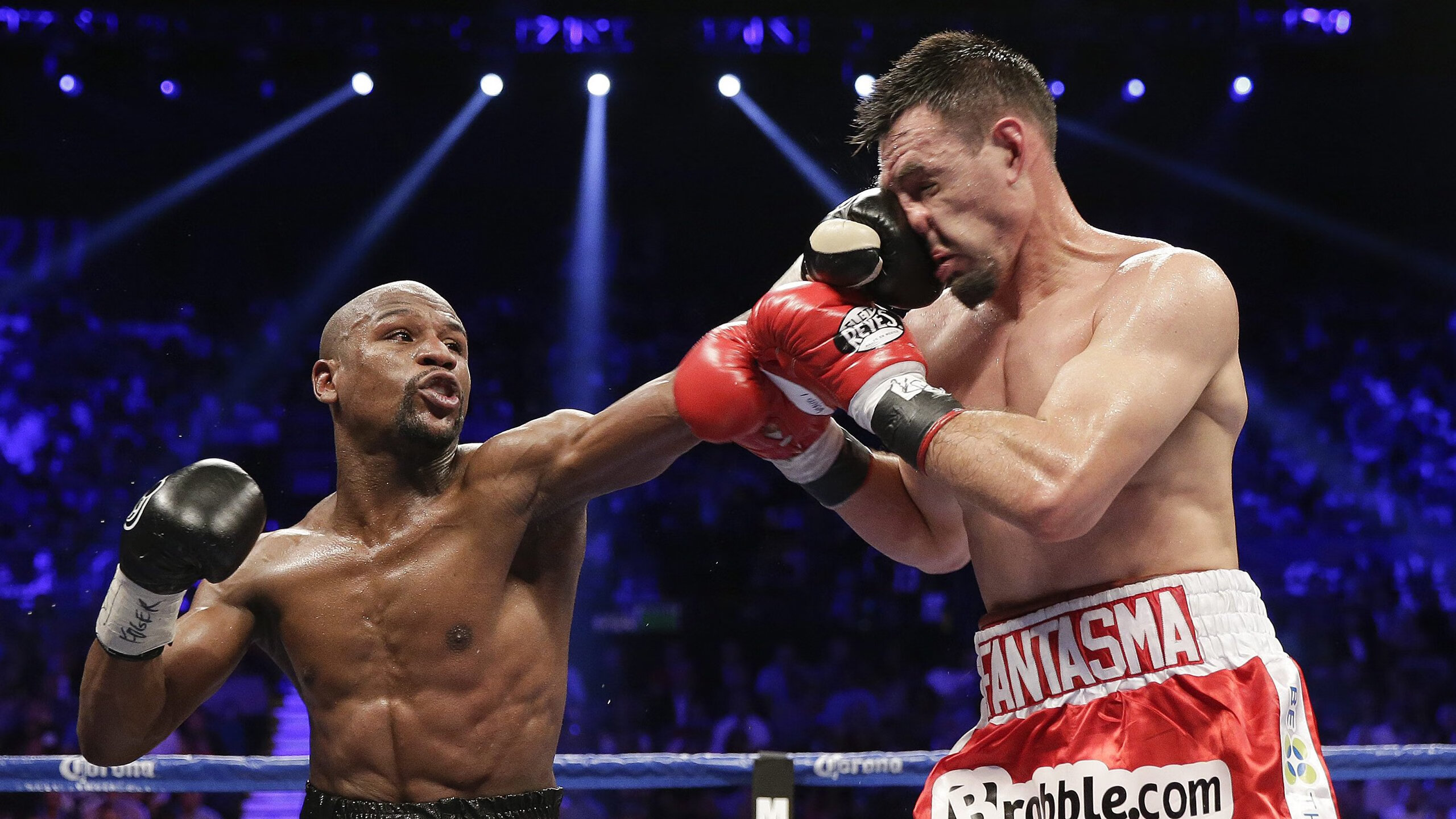 厄德高，当北欧琴弦奏响哥斯达黎加雨林挽歌